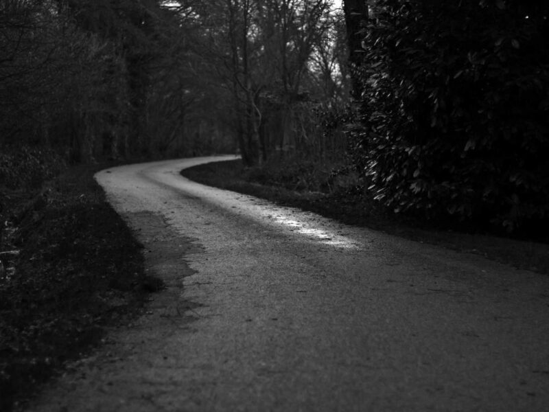 Maecenas lacinia penatibus cubilia fusce purus montes mattis maximus egestas leo congue auctor